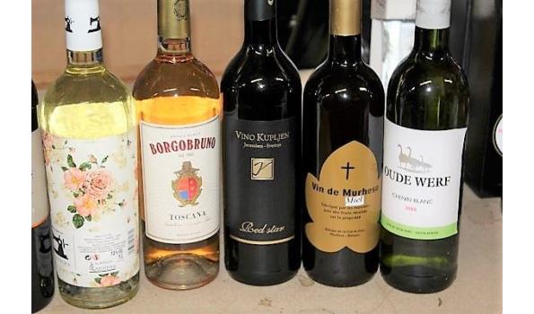 10 flessen divers wijnen